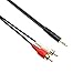 PASOW 3.5mm Stereo Male to 2RCA Male (Right and Left) RCA Audio Cable (30 Feet)