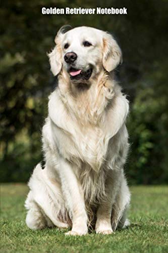 Golden Retriever Notebook: Cool Golden Retriever notebook - Travel Journal to write in - 120 pages - 6"x9"