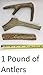 Antler Man Premium Deer Antler Pieces - Dog Chews - Sold by The Pound