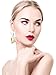 4 Pairs Funny Acrylic Goldfish and Starfish Earrings, Water Bag Shape Dangle Hook Earrings for Women (Style1)