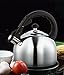 Homeinart Whistling Tea Kettle Stainless Tea Kettles Stovetop 2.6 QT