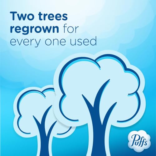 PUFFS PLUS LOTION FACIAL TISSUES, 1 FAMILY BOX, 124 TISSUES PER BOX, ALLERGIES AND COLDS