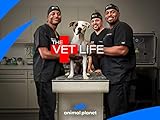 The Vet Life Season 4