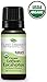 Plant Therapy Organic Lemon Eucalyptus Essential Oil 100% Pure, USDA Certified Organic, Undiluted, Natural Aromatherapy, Therapeutic Grade 10 mL (1/3 oz)