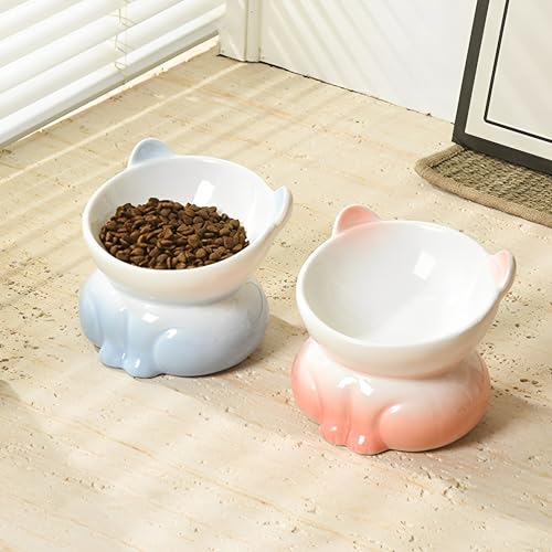 Beauenty 2 Pcs Ceramic Elevated Cat Bowls - Tilted Raised Cat Bowl Anti Vomit Cat Food Bowls for Indoor Cats, Whisker Friendly Design, Microwave & Dishwasher Safe