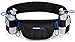 Camden Gear Running Belt for Phone, Hydration Fanny Pack, Black, 2 Bottle Pack