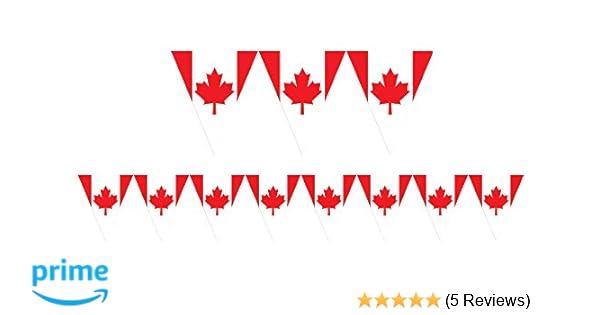 Amazon Com Amscan 12650 Favor Canadian Flag Party Pennant Banner