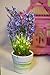 Orchid & Ivy Lighted Artificial Lavender Flower Plant with Timer - Battery Operated with 15 Lights