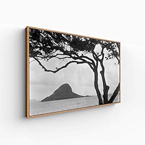 Canvas Wall Art for Living Room, Bedroom Monochrome Plants Framed Canvas Prints for Home Decoration Ready to Hang - 16x24 inches