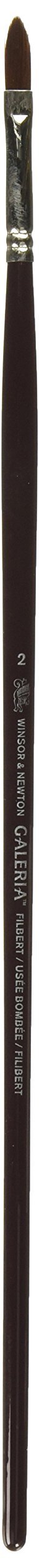 Winsor and Newton Galeria Brush Long Handle Filbert No 2 (Each)