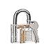 Looching Crystal 5 Pieces Padlock Set with Cutaway Practice Padlock, Style 1