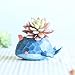 SUN-E Cute Green Crocodile Blue Elephant Whale Succulent Plants Personalized Office House Balcony Landscape Creative Decorative Flower Pots (The Whale)