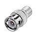Eightnoo BNC Male Plug to F Female Jack Adapter Coax Connector Coupler adapters CCTV Camera (Pack of 5)