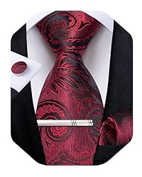 DiBanGu Silk Paisley Ties for Men Woven Necktie and