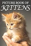 Picture Book of Kittens: Picture Book of