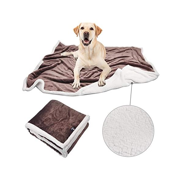 washable dog blanket