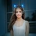 Cat Ear Headphones,MindKoo Flashing Glowing Cosplay Fancy Kids Headphones Foldable Gaming Headsets Earphone with LED Flash Light for iPhone 6S,Android Mobile Phone,PC Laptop Computer