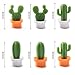 SUJING 6pcs Cute Succulent Plant Magnetic Refrigerator Magnets Cute Home Decor Refrigerator Stickers Creative Notice Message Magnetic Stickers Gift (White)