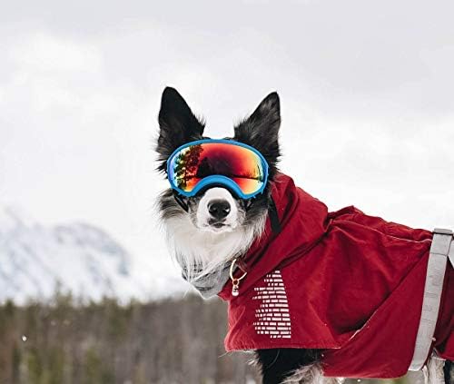 Rex Specs Dog Goggles - Eye Protection for The Active Dog