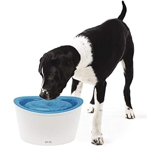 Image of Zeus Fresh & Clear Elevated Dog and Cat Water Dispenser, Large Drinking Water Fountain with Purifying Filter, 6L Capacity