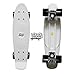 DINBIN Complete Highly Flexible Plastic Cruiser Board Mini 22 Inch Skateboards for Beginners or Professional with High Rebound PU Wheels