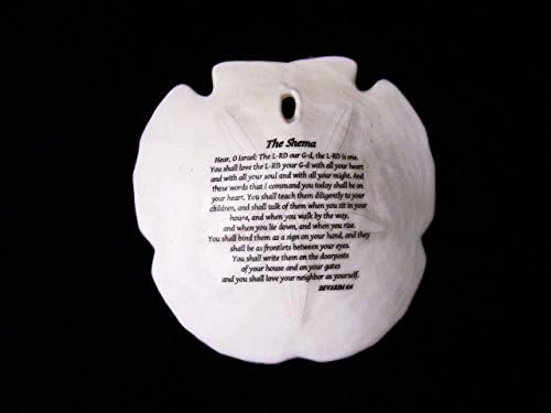 Israel Shema on Sand Dollar Hebrew Art Work Jewish Prayer Judaic Collectible Hear O Israel The L-rd our G-d Judaica