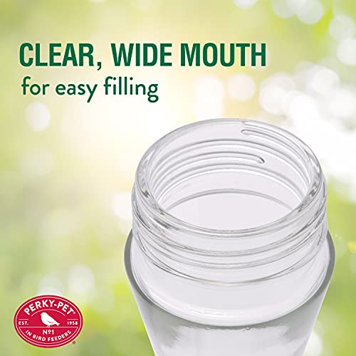 PerkyPet 203CPBN2 PinchWaist Glass Hummingbird Feeder With Perches