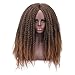 AISI HAIR Long Dreadlock Wig Marley Hair for Twists Wigs for Black Women Synthetic Fiber 16 Inch Black Mix Brown Color(1B/27#)