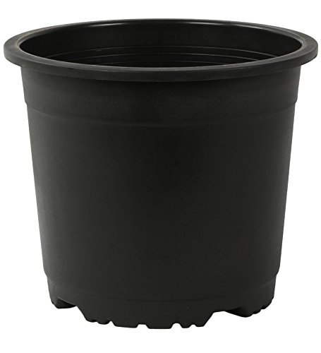 CAPPL 9 Inch Round Plastic Pot (Black, 6 Pieces)