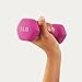 Amazon Basics 20-Pound Dumbbell Set with Stand, Silver Lettering