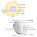 swiftrans Wake up Light Sunrise Simulation, Alarm Clock 5 Natural Sounds to Wake up, 7 Color Changes, FM Radio, Snooze Function Sunset Simulation, Suitable All Kinds People
