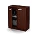 South Shore Axess Small 2-Door Storage Cabinet, Royal Cherry