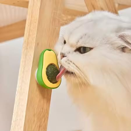 Interactive Catnip Plush Toy - Organic Avocado Chew Toy for Cats & Kittens | Anxiety Relief & Playtime Stimulation | Safe & Fun Cat Toy for Active Play