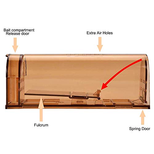 jingtai Humane Mouse Trap, No Kill Small Mice Traps That Work for for Small Rodent/Voles/Hamsters/Moles Catcher, Indoors Outdoors Pack of 4 with Cleaning Brush