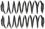 Moog 81055 Coil Spring Set