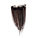 VICTONY wanjin Turkey Feathers 10-12 inches Party Decoration per Pack of 10