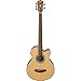 Ibanez AEB105E - Natural High Gloss