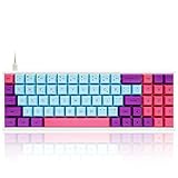 SK64 Joker Wired 70 Keys Multi Color RGB