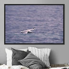 signwin Framed Canvas Wall Art Soaring Bird Aerial...