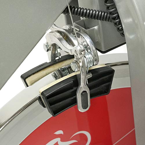 Sunny Health Fitness Indoor Cycling Exercise Bike with 40 LB