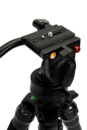 Celestron 82052 Regal Premium Stativ – Schwarz – Bild 5