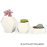 Ceramic Small Collection Geometric Planter ( 3 Pack-White) Hexagon Succulent Plant Pot/Planter/Container