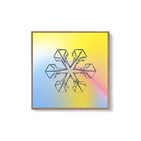 Framed Canvas Wall Art for Living Room, Bedroom Snowflake Theme Canvas Prints for Home Decoration Ready to Hang - 16x16 inches