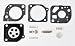 RB-82 Zama C1U-H46 C1U-H49 Carburetor Repair Kit Homelite Simple Start Trimmer primary