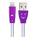 Generic Apple LED Charger Light up Charging Cable Luminescent Visible Current Smart Charger & Sync Cable for Apple iPhone 5/5s/5c/6/6 Plus/ipad 3/4/ Mini Air Ios7/8 (Purple)