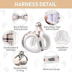 GAMUDA Small Pet Harness Collar and Leash Set, Step