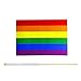 Rainbow Gay Pride Stick Flag,50 Pack Hand Held Small LGBT Flags Banners With Wood Stick,Decorations Supplies For Mardi Gras,Gay Pride,Rainbow Pride Party,Festival Events Celebrations