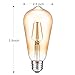 Vintage Edison Light Bulb,Oak Leaf 4W ST64 Antique LED Bulb Lights 40W Equivalent,E26 2200K Warm White 400lm,Amber Glass
