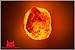Windsor Seasons Hand Crafted Natural Large 9-Inch Crystal Himalayan Salt Lamp with Neem Wood Base, 6-Feet Cord, Dimmer Switch and Bulb