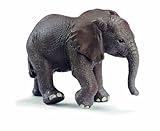 African Elephant Calf